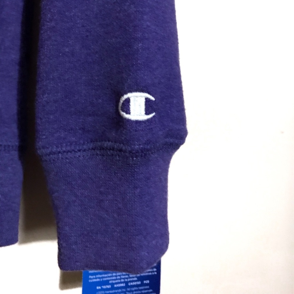 NWT CHAMPION terry hoodie 💜